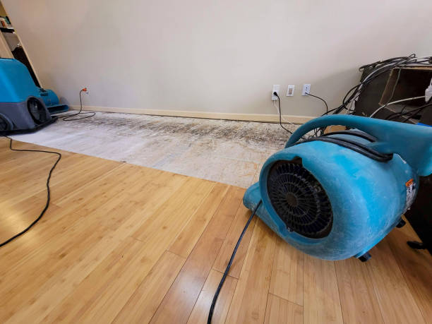 Professional Water Extraction technician working in Nuevo, CA